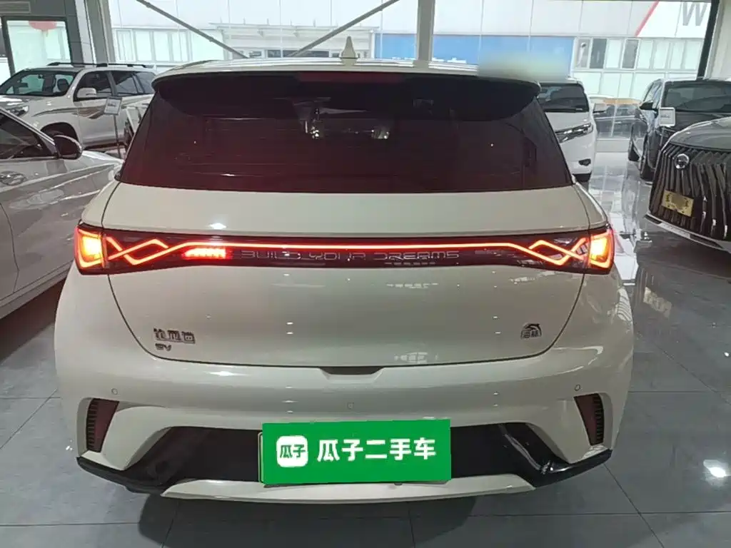 Фото 6 - BYD Dolphin