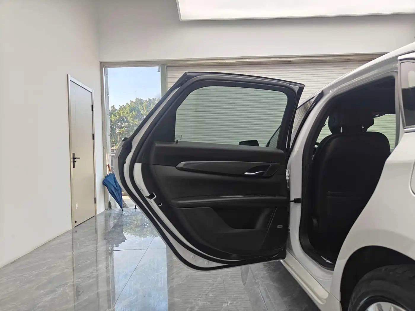 Cadillac CT6 PLUG-IN 2017 30E Elite фото 10
