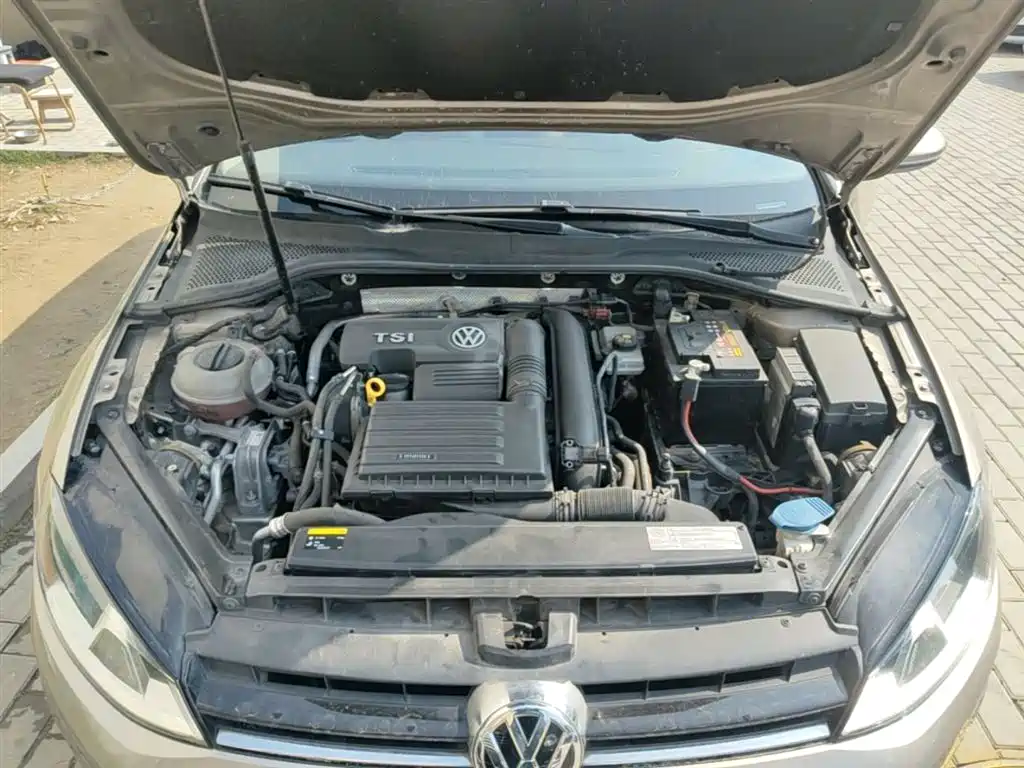 Volkswagen Golf 2016 230TSI Manual Comfort фото 20