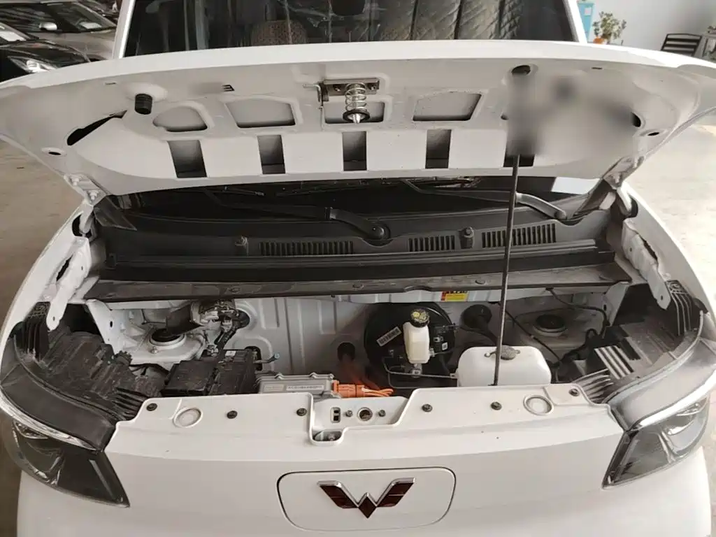 Wuling Motors Wuling Zhiguang NEV 2026 2025 Model 305km Base Version