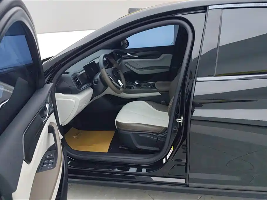 BYD Qin PLUS 2024 Glory Edition DM-i 55KM Leading фото 9