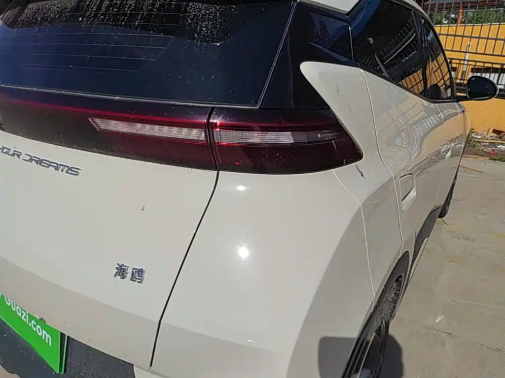 BYD Seagull 2024 Glory Edition 405km Soaring Edition фото 8