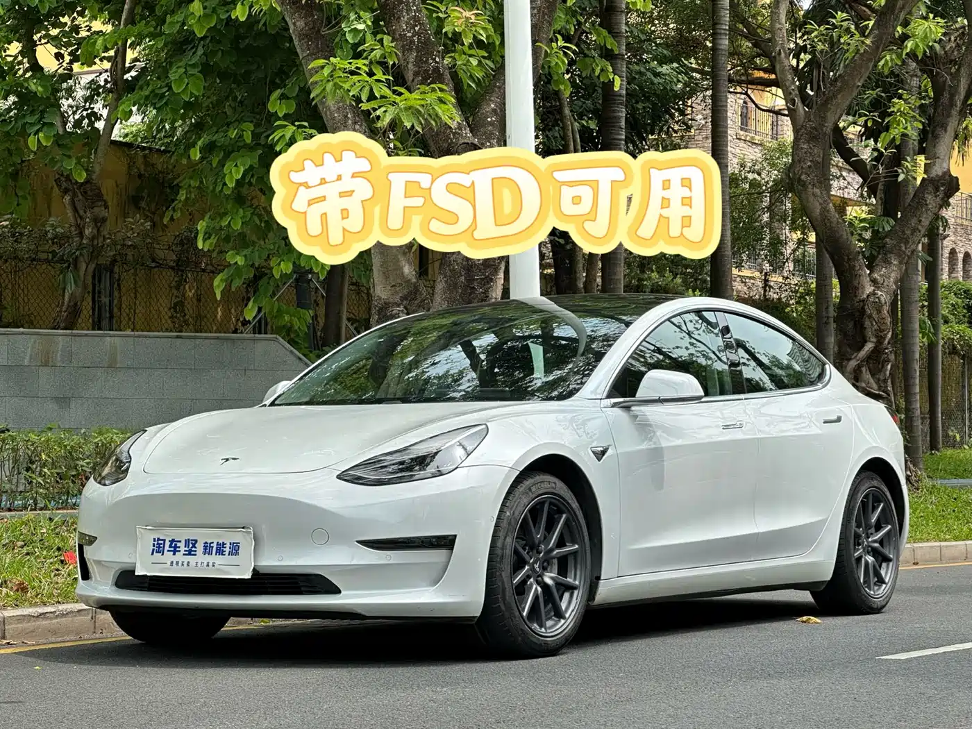 Tesla Model 3 (Import) 2019 2019 Long Range RWD Version