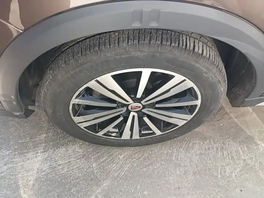 Фото 20 - Roewe RX5