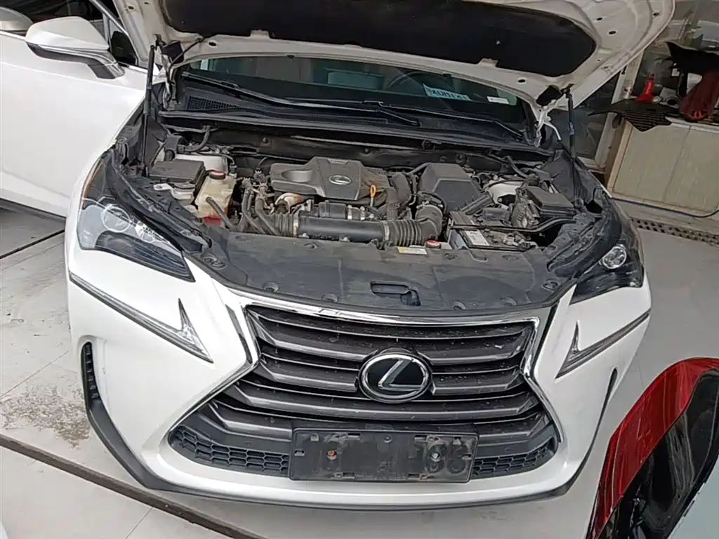 Lexus NX 2015 200t AWD F Sport фото 20