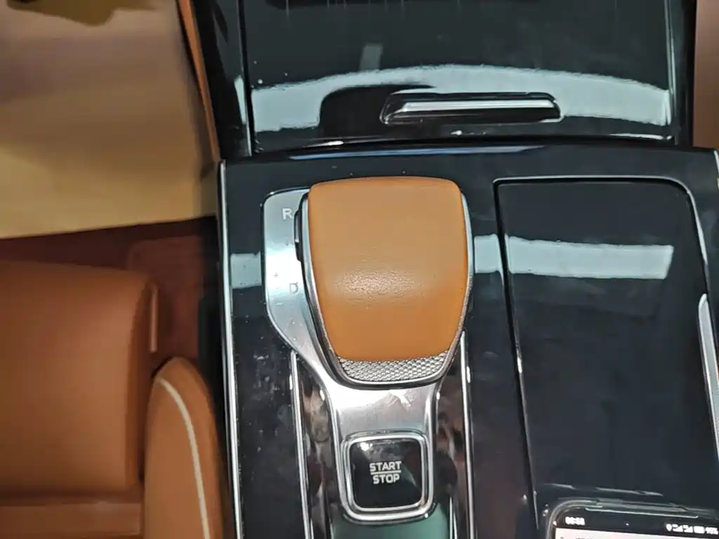 Hongqi H9 2025 2024 2.0T Qi Enjoy Private Fashion Edition