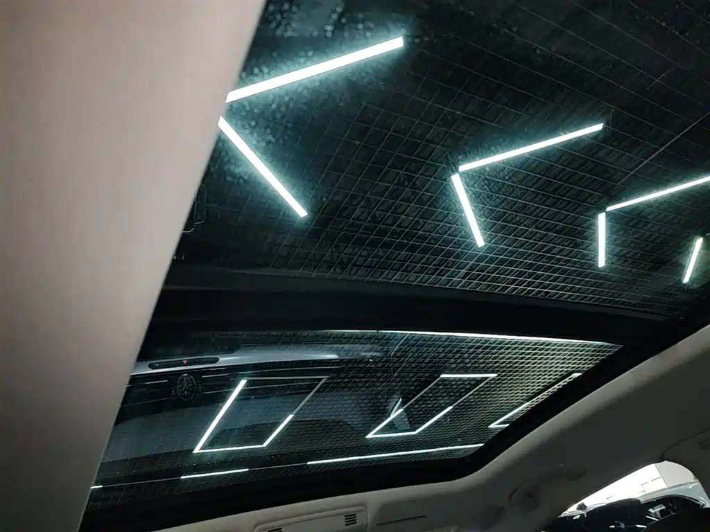 Volkswagen Magotan GTE Plug-in Hybrid 2022 GTE Luxury фото 18