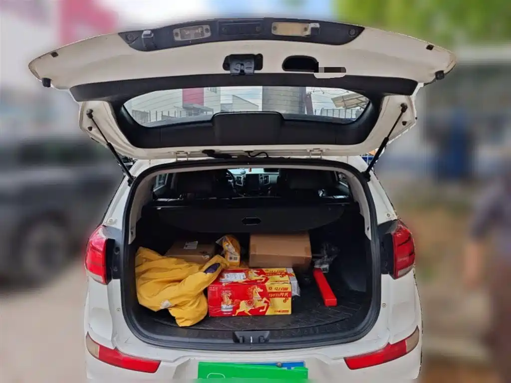 Kia Sportage 2015 2.0L Automatic 2WD DLX фото 10