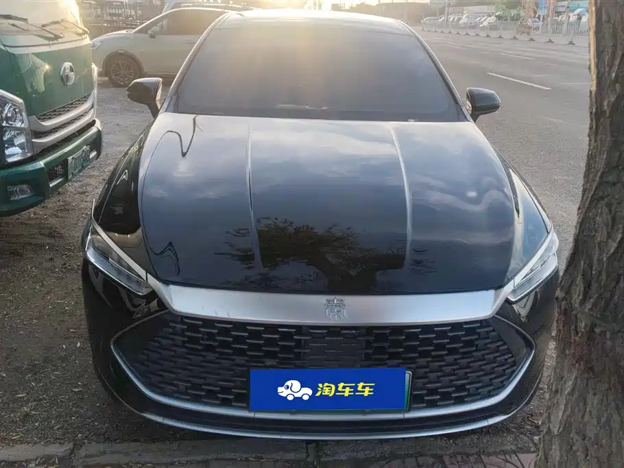BYD Qin PLUS 2024 Glory Edition DM-i 55KM Leading фото 2