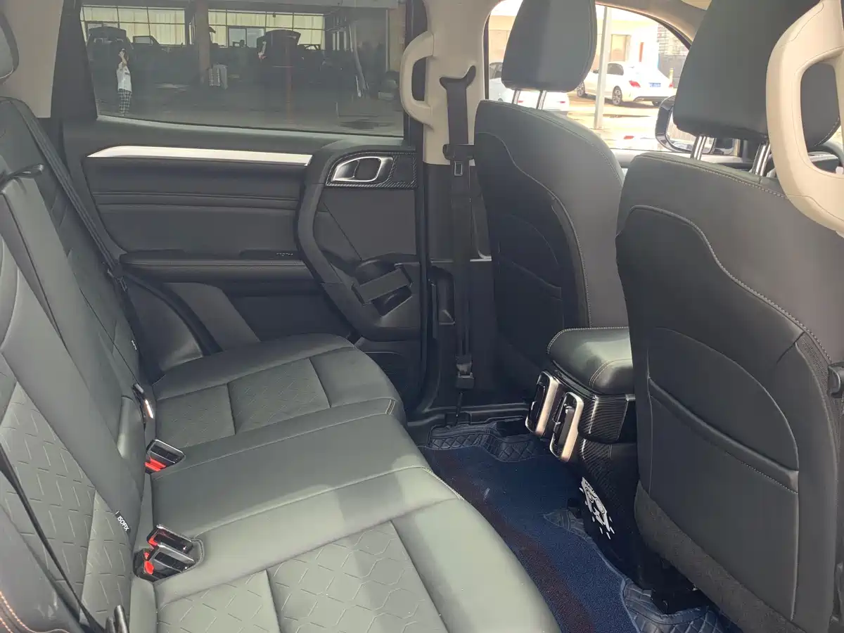 Haval Big Dog 2021 1.5T DCT 2WD Border Collie Edition фото 15