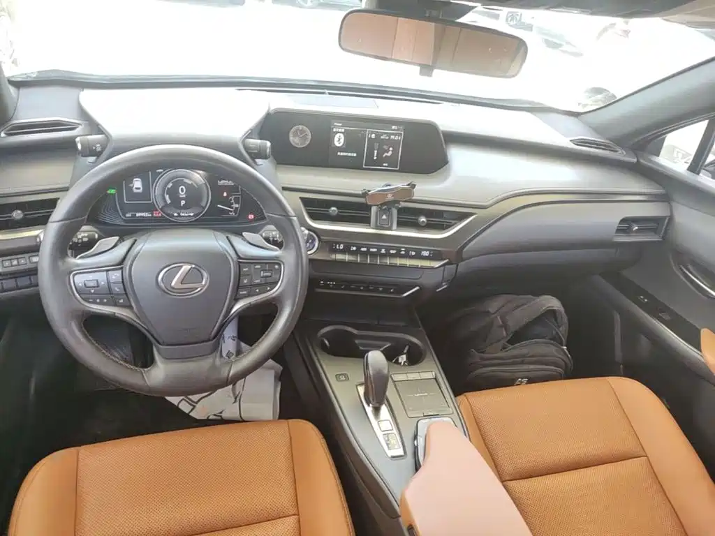 Lexus UX Electric 2021 2020 300e Pure Yue Edition