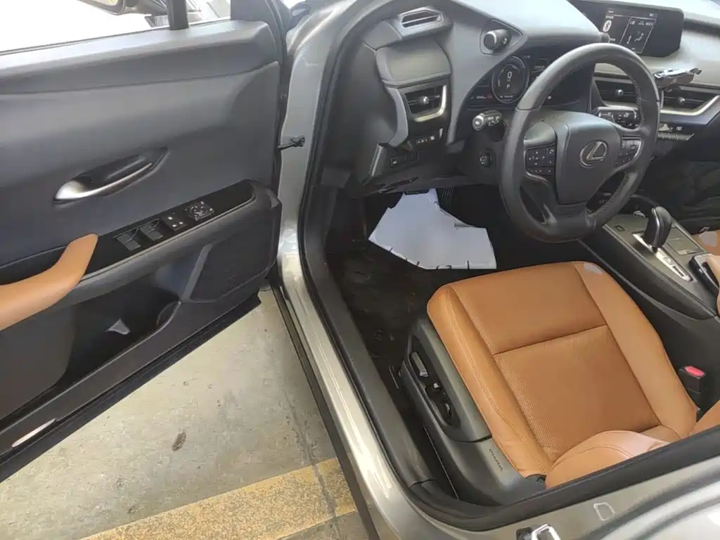 Lexus UX Electric 2021 2020 300e Pure Yue Edition
