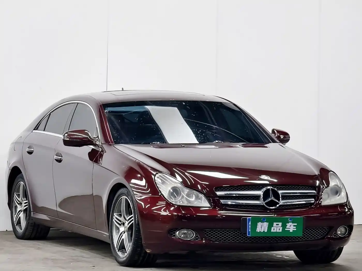 Mercedes-Benz CLS 2009 CLS 300 фото 3