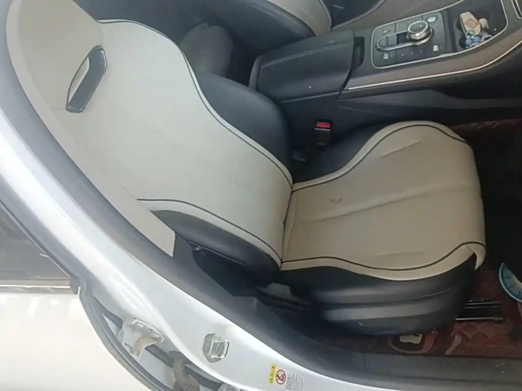 BYD Destroyer 05 2025 2024 Glory Edition DM-i 55KM Luxury