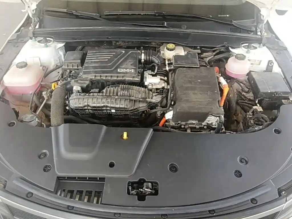 BYD Destroyer 05 2025 2024 Glory Edition DM-i 55KM Luxury