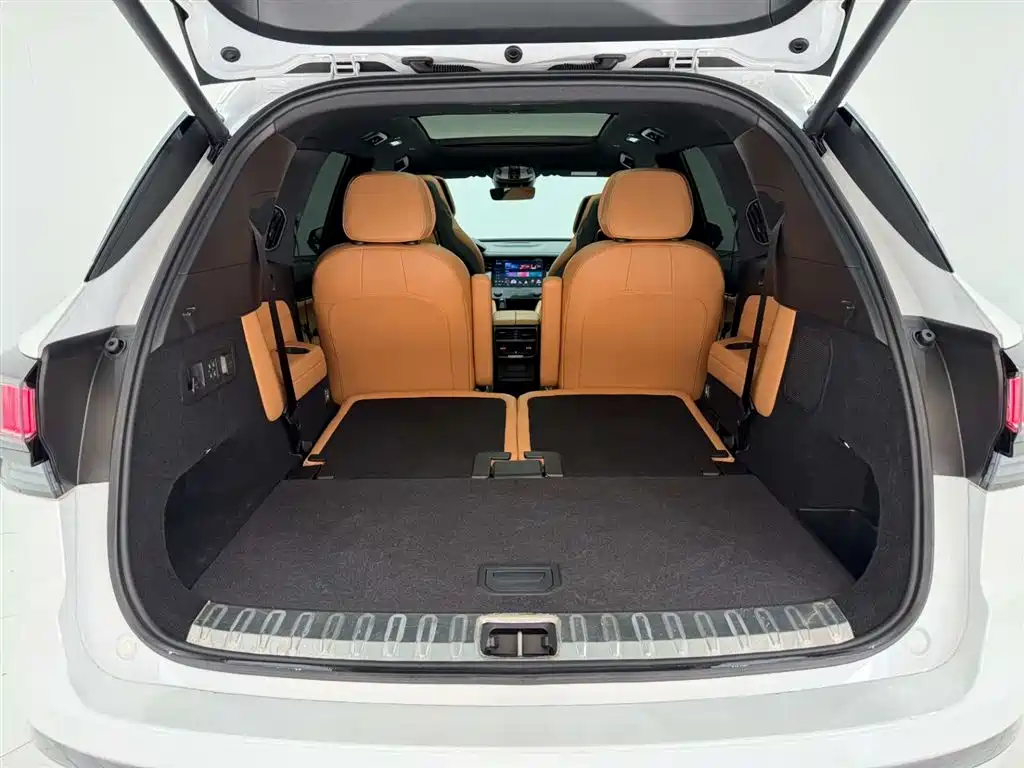 Lynk & Co 09 EM-P 2021 2.0T PHEV Halo 6-seater фото 14