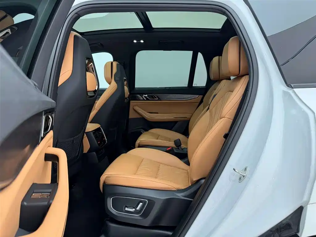 Lynk & Co 09 EM-P 2021 2.0T PHEV Halo 6-seater фото 17