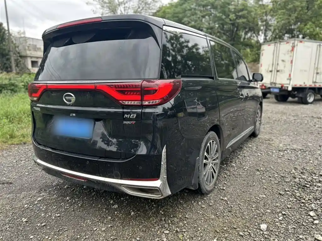 GAC Trumpchi Trumpchi M8 2021 Leading Show Series 390T Prestige Edition фото 12