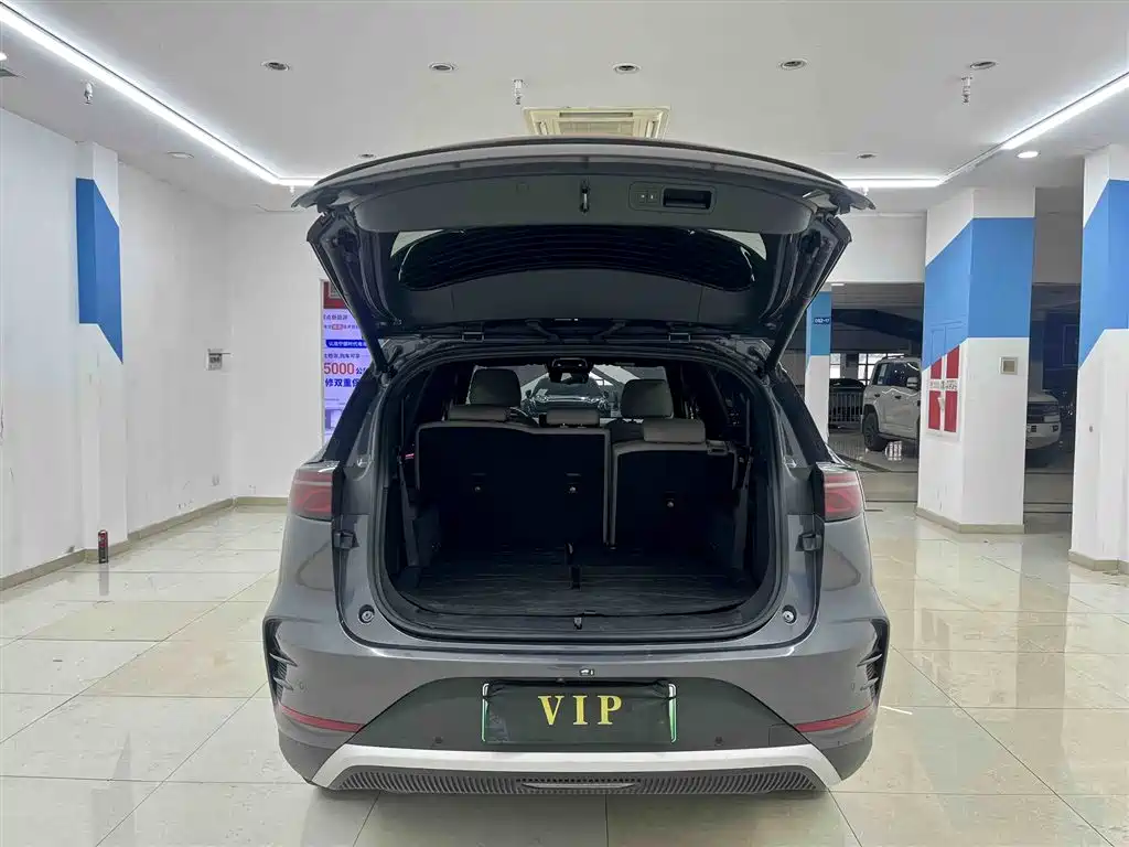 BYD Tang New Energy 2025 DM-i 115KM Prestige Type фото 10