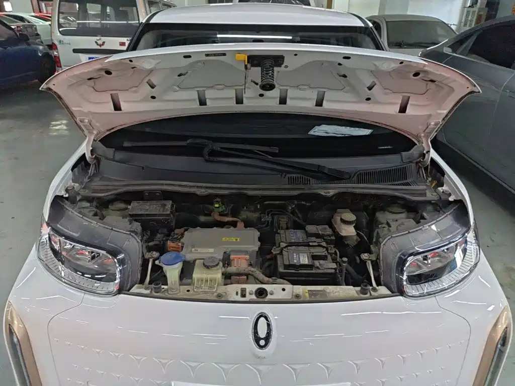 Ora White Cat 2022 2022 Wildcat Edition 360km Luxury (NMC)