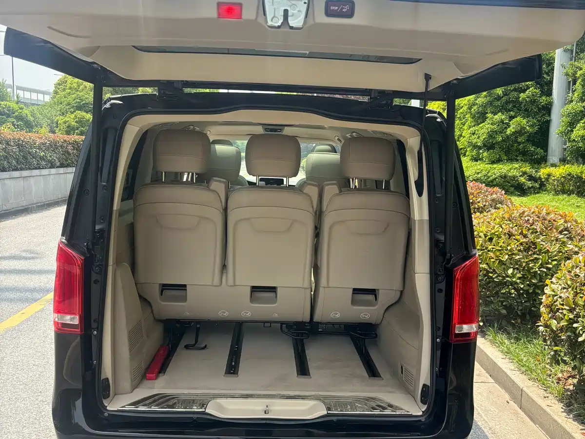 Mercedes-Benz V-Class 2018 V 260 Pilot Edition China V фото 15