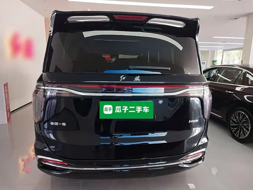 Фото 6 - Hongqi HQ9