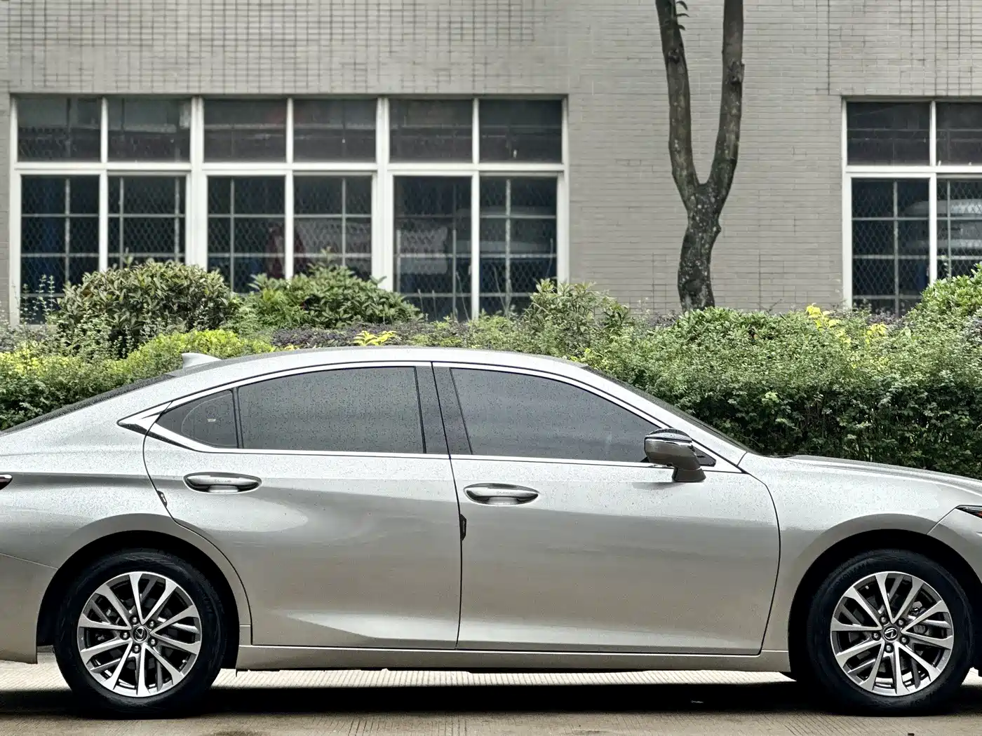 Lexus ES 2021 200 Excellence Edition фото 5