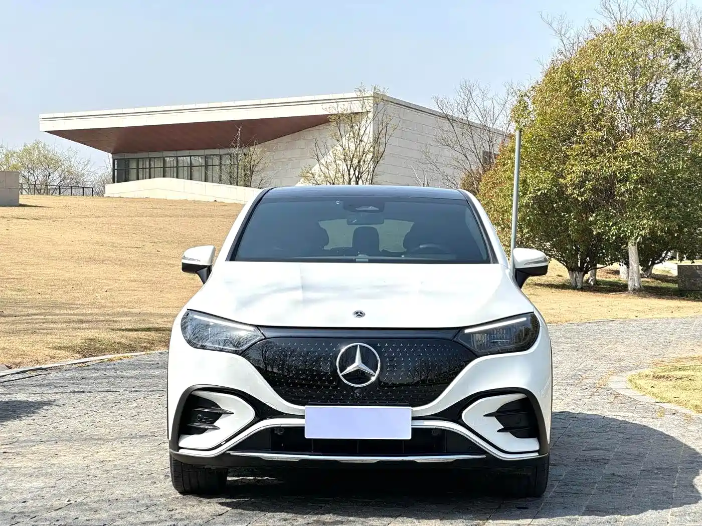 Mercedes-Benz EQE SUV 2024 500 4MATIC Pioneer Edition фото 2