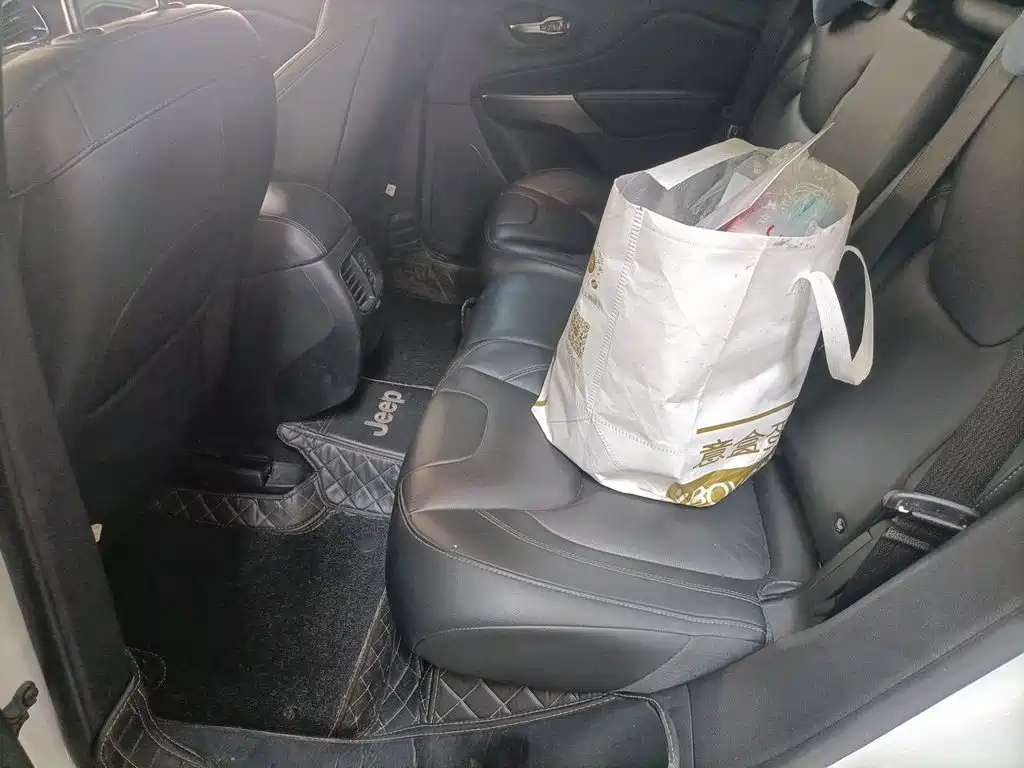 Jeep Cherokee 2019 2019 2.0T 2WD Premium Edition China V