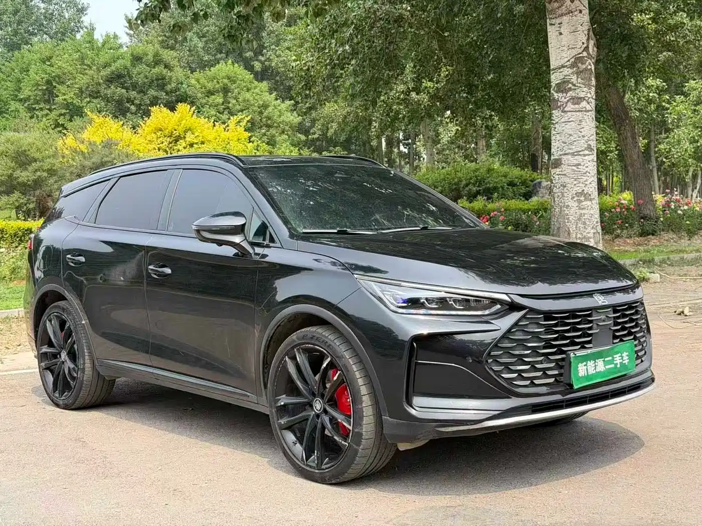 BYD Tang New Energy 2023 Model DM-i Champion Edition 112KM Honor фото 3