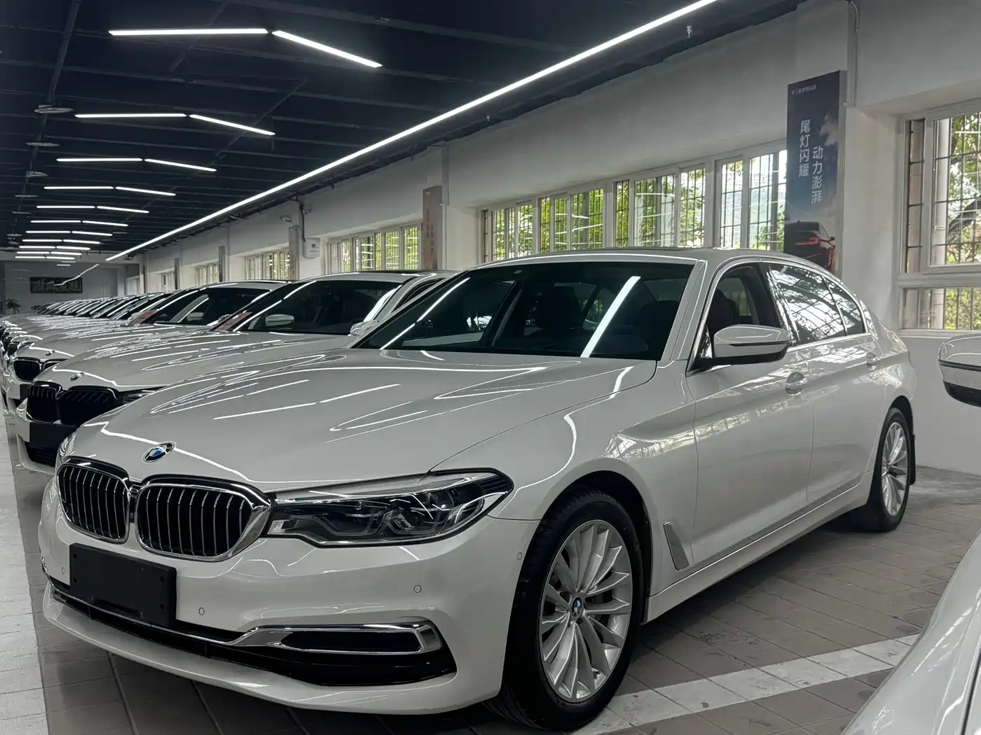 BMW 5 Series 2019 530Li Premium Luxury Package