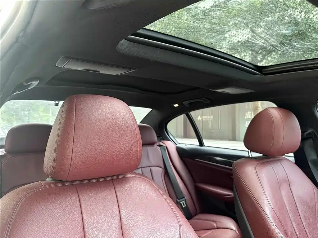 BMW 5 Series 2018 530Li Leading M Sport Package фото 21