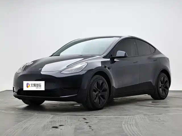 Tesla Model Y Задний привод