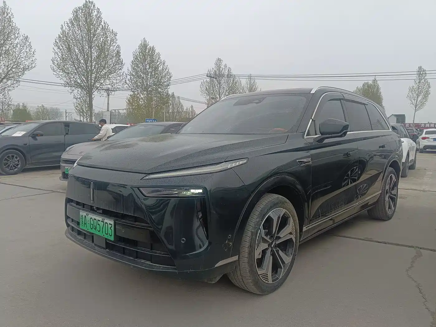 WEI PAI WEI BRAND BLUE MOUNTAIN