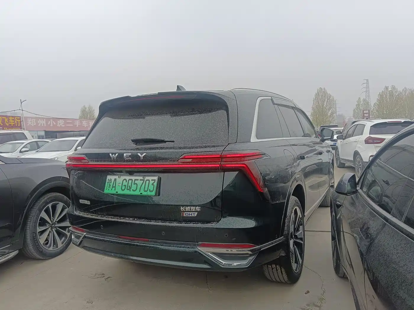 WEI PAI WEI BRAND BLUE MOUNTAIN