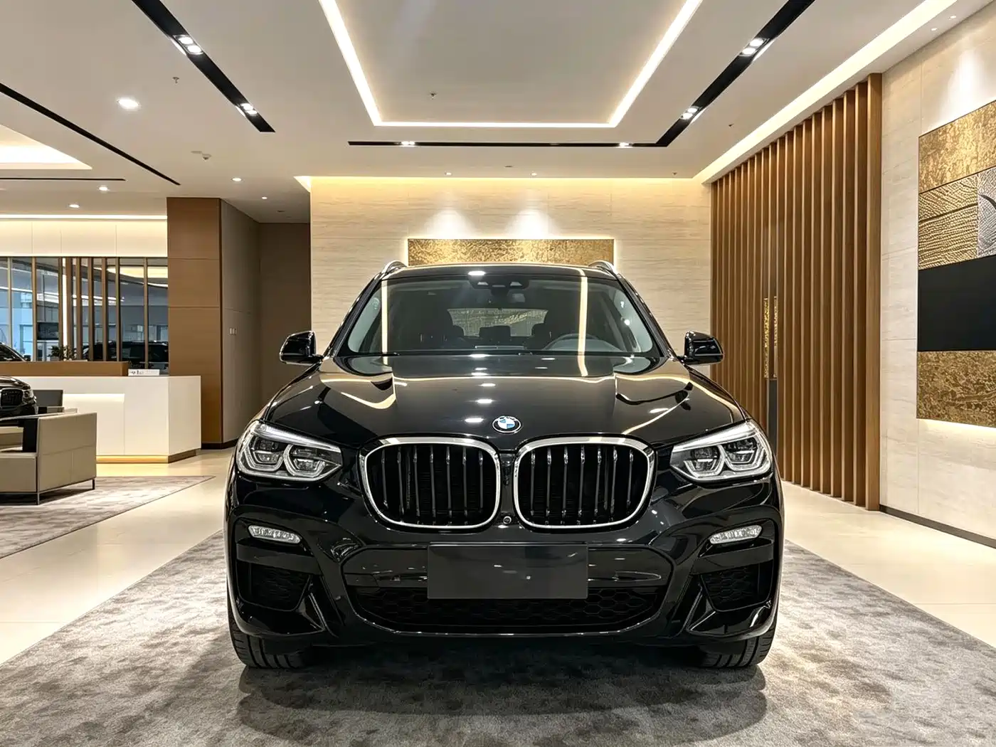 BMW X3 2018 xDrive30i Leading M Sport Package China V фото 2