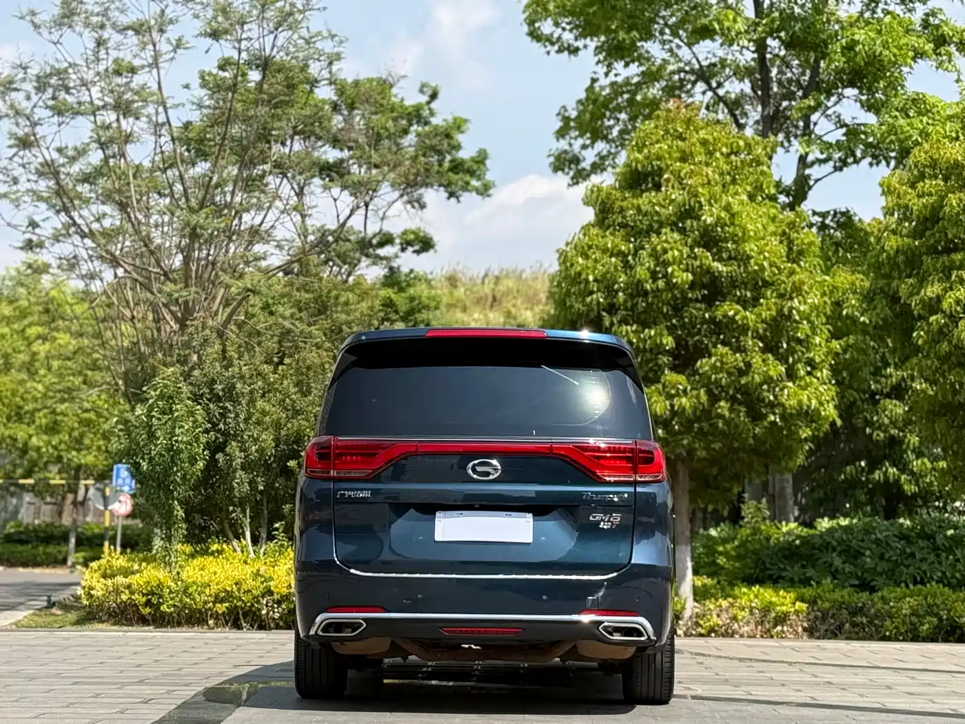 GAC Trumpchi Trumpchi M8 2018 320T Premium Edition фото 8