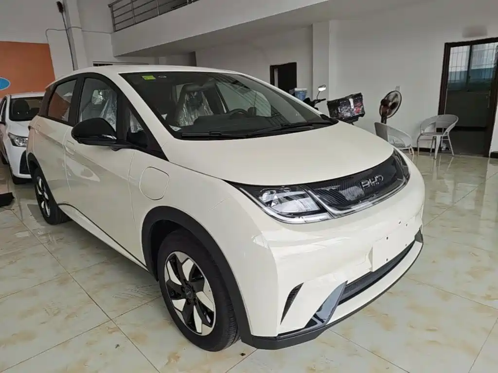 BYD Dolphin 2026 2025 420km Freedom Edition