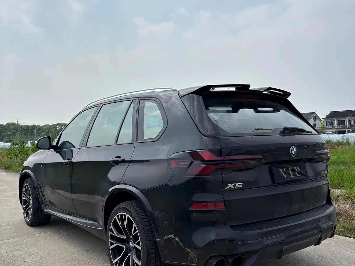 BMW X5 (Import) 2009 xDrive30i Leading фото 6