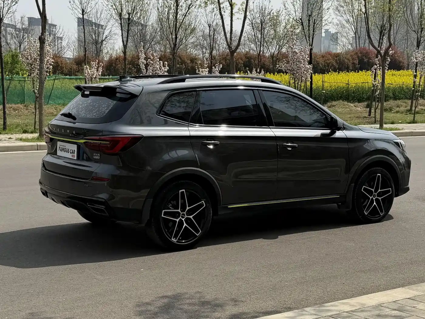 ROEWE RX5