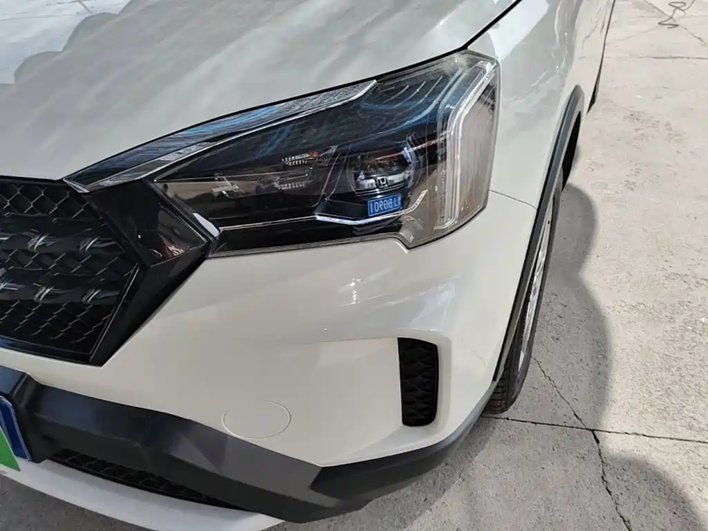 Venucia T60 2022 2020 1.6L CVT Zhi Xuan Edition China VI