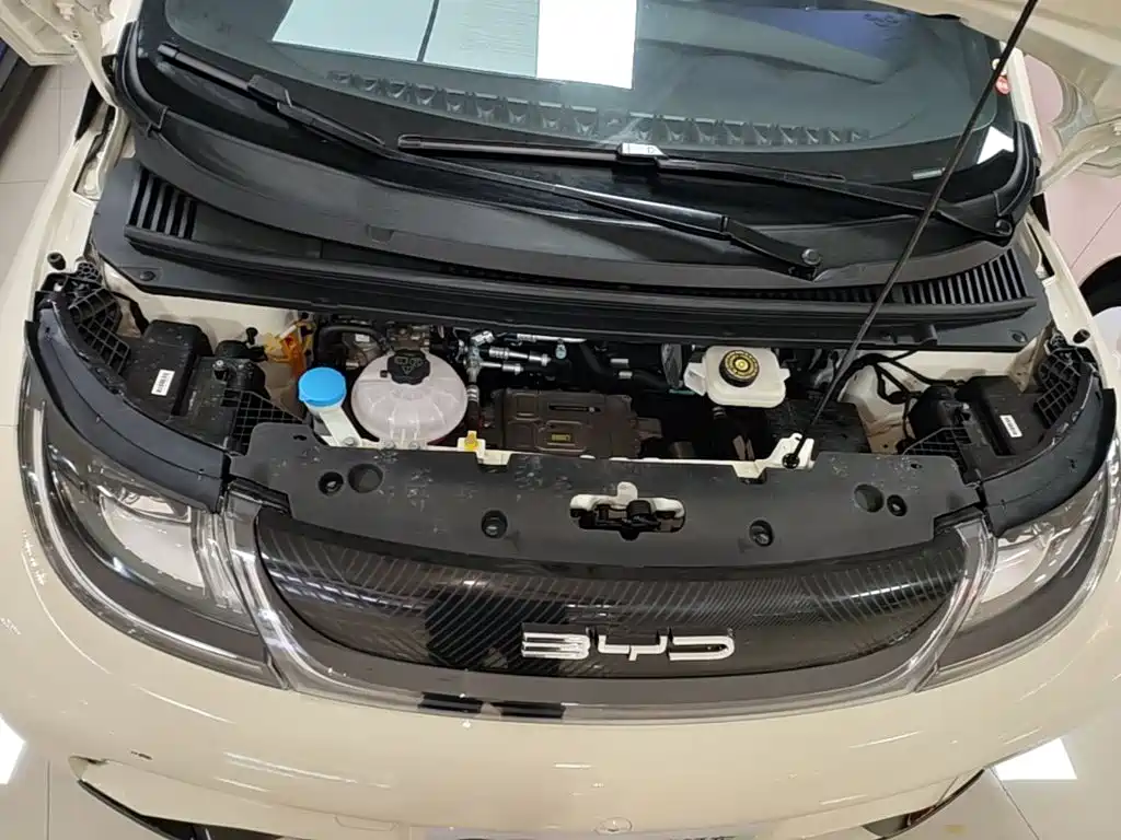 BYD Dolphin 2026 2025 420km Freedom Edition
