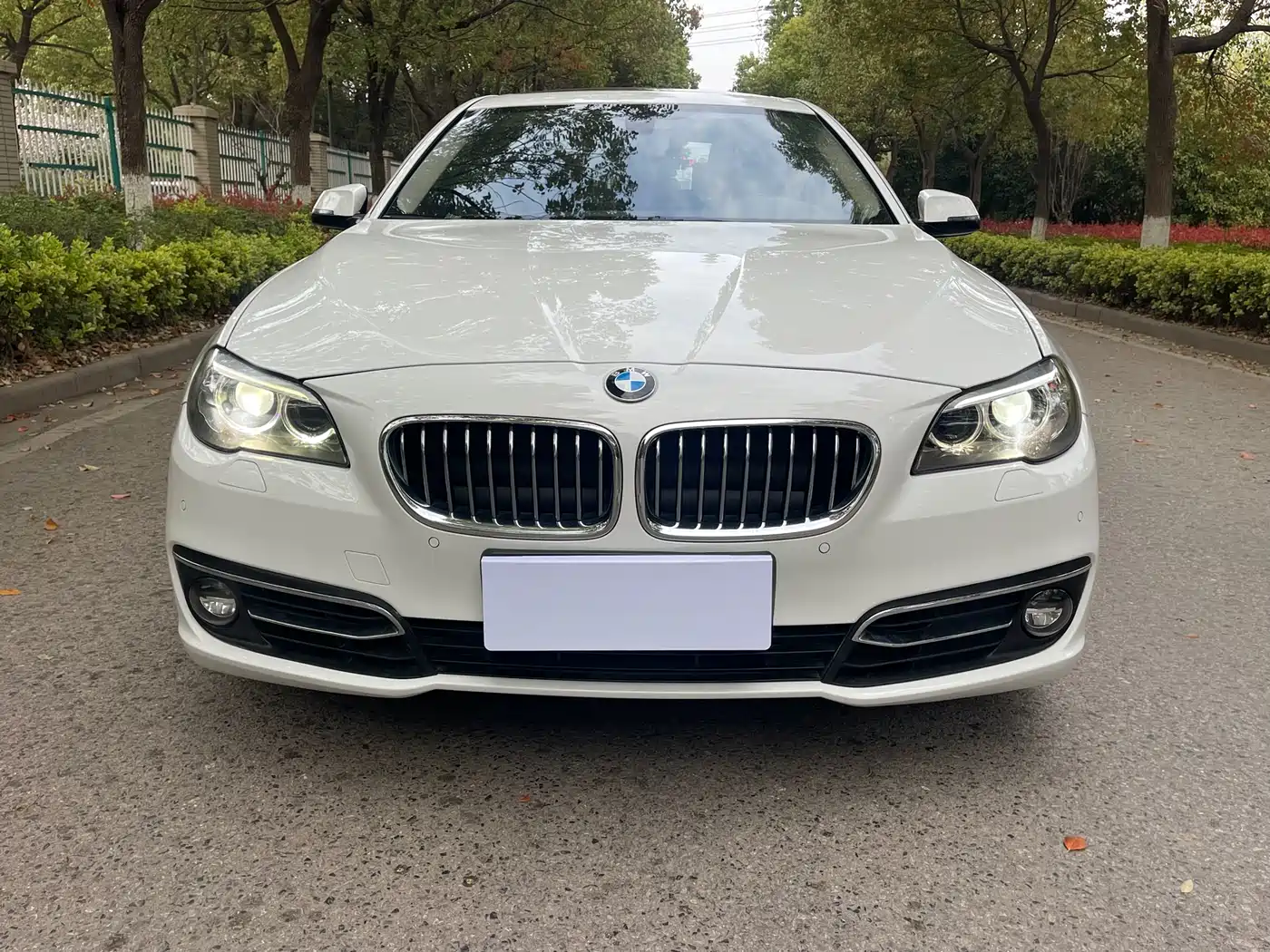 BMW 5 Series 2014 525Li Luxury Design Package фото 2