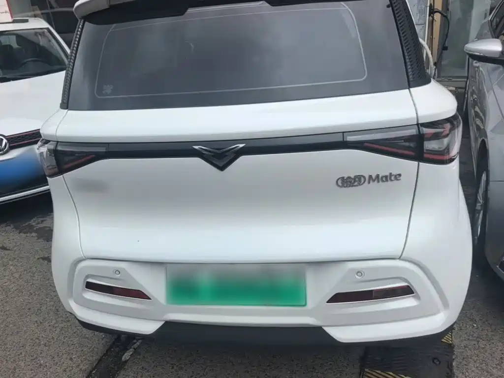 Cowin October 2024 2025 Model Mate 300km Wave Rider Edition