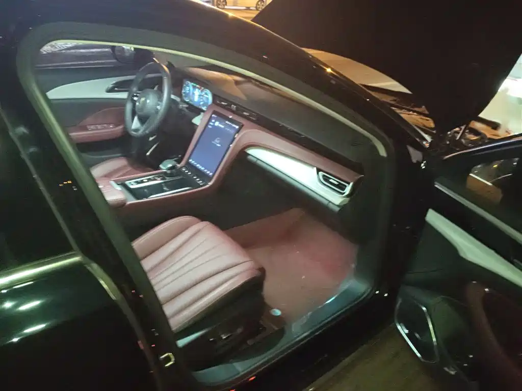 Hongqi H5 2025 2.0T Automatic Qixiang 500,000 Units Commemorative Edition фото 19