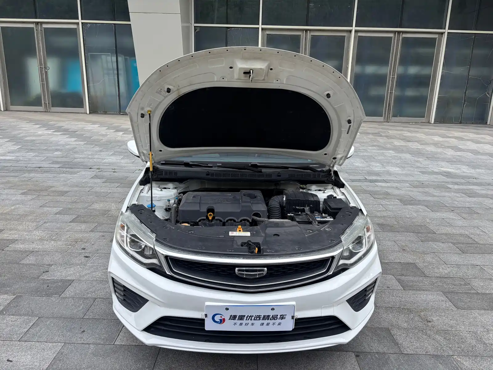 Фото 10 - Geely Vision
