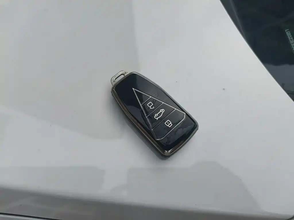 Venucia VX6 2025 2024 450 Travel Edition