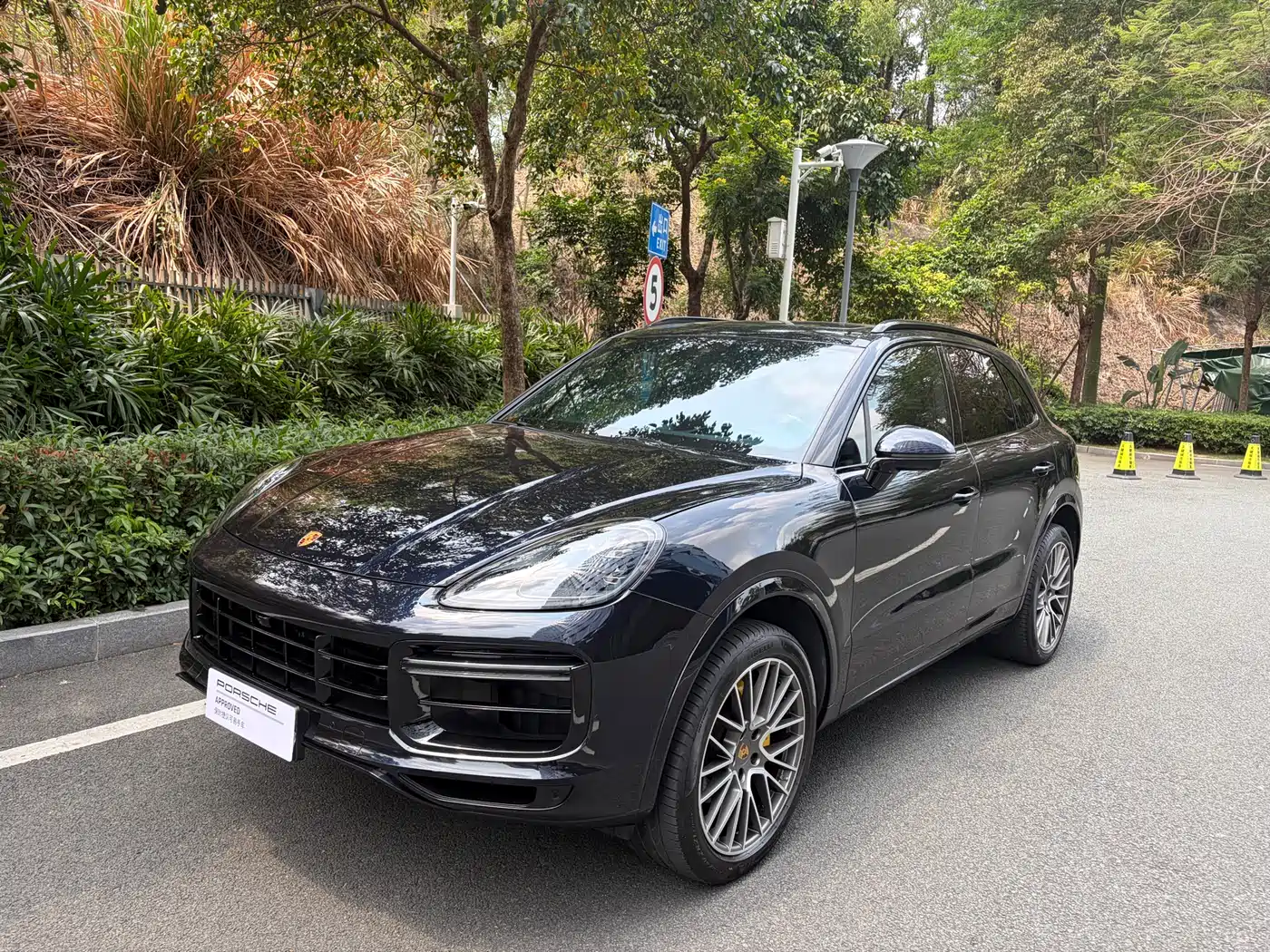 Porsche Cayenne 2023 Cayenne 3.0T Platinum Edition