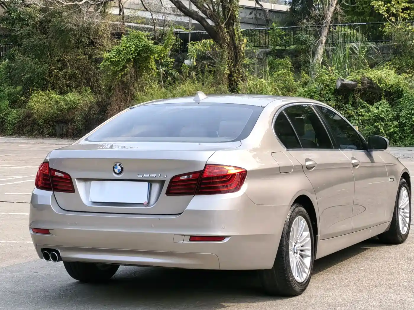 BMW 5 Series 2014 525Li Leading фото 11