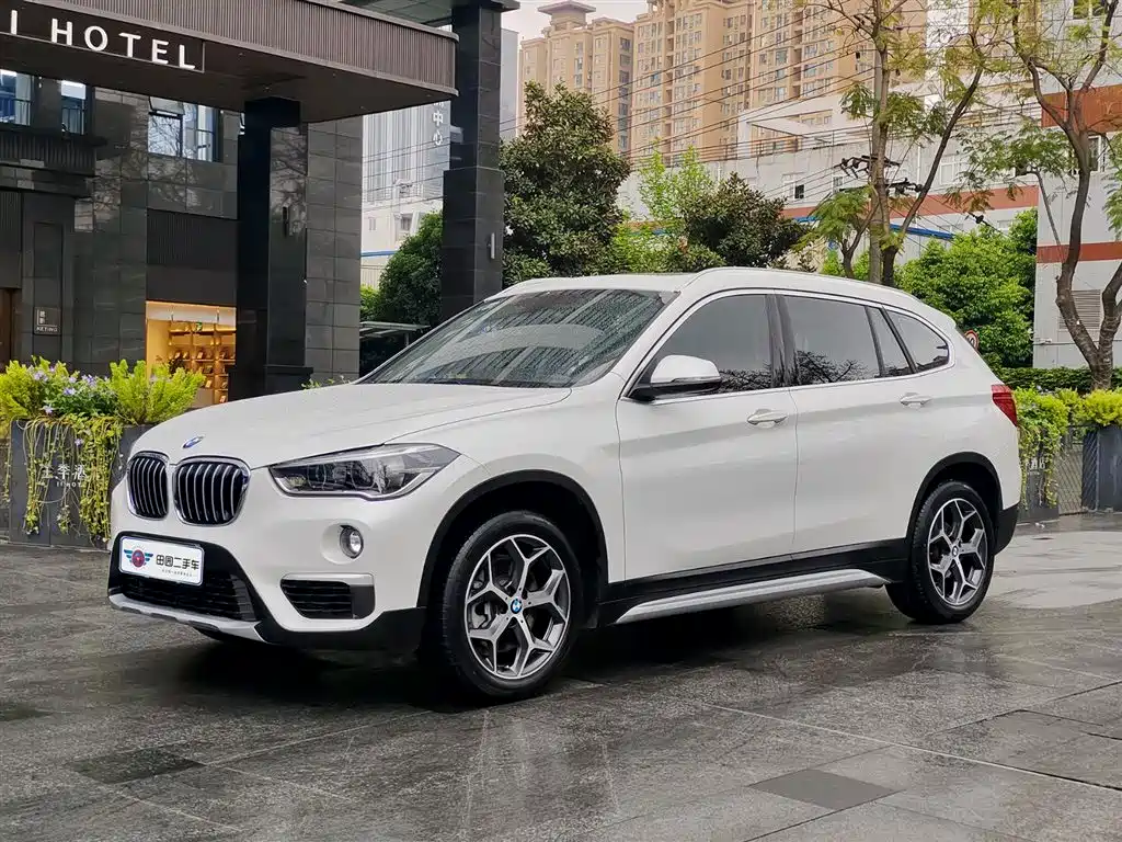 BMW X1 2019 xDrive20Li Premium Model